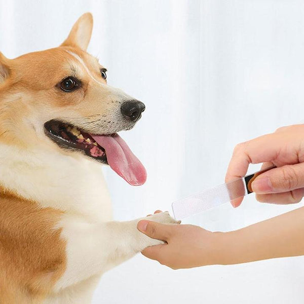 ORIGINAL NANO POLISHED NAIL FILE