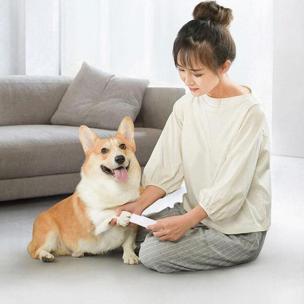 Nano Polished Glass Nail File