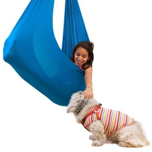 SENSESWING - CALMING THERAPY SWING