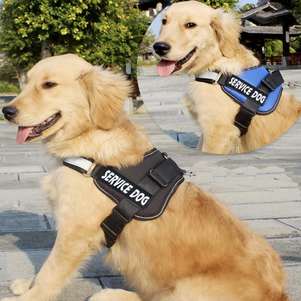 PERSONALIZED CUSTOM DOG HARNESS