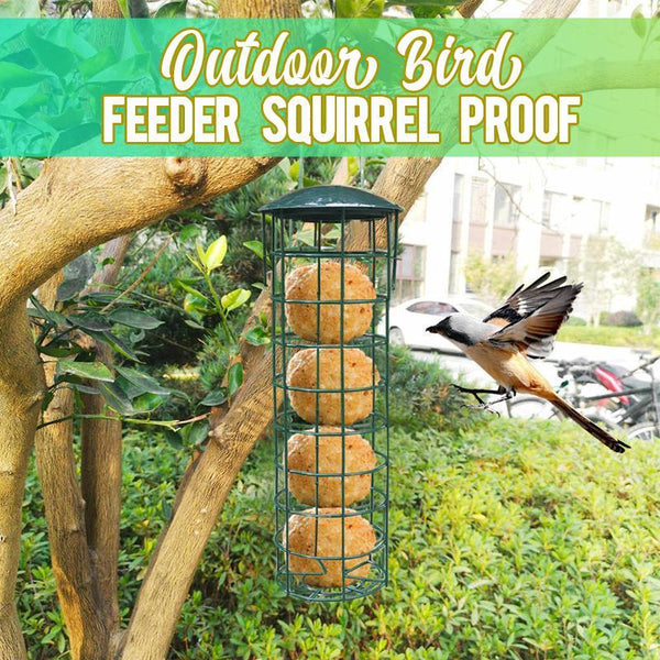 OUTDOOR BIRD FEEDER SQUIRREL PROOF