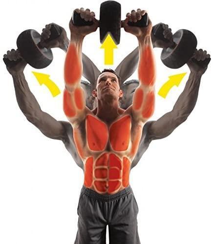 Ab Carver Pro Roller