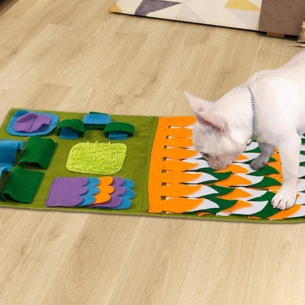 PET SNUFFLE TRAINING DETACHABLE MAT