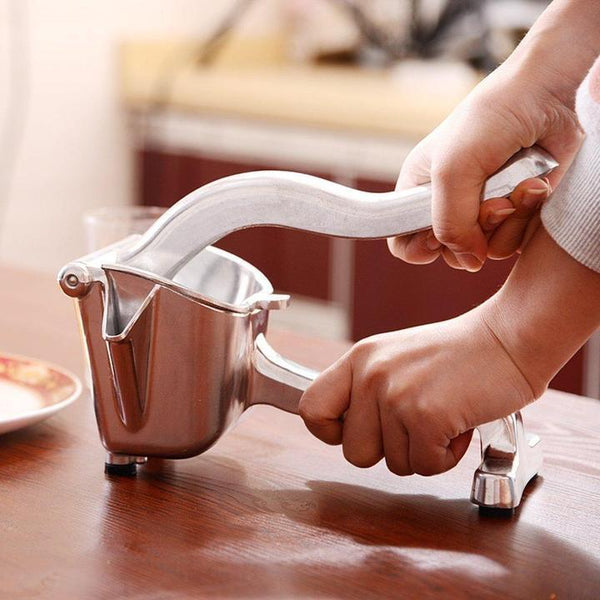 Stainless Steel Fruit Juicer