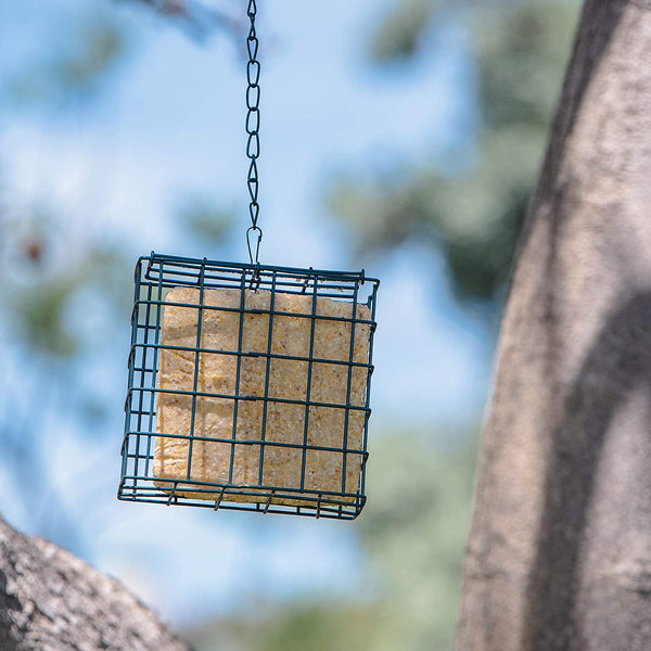 BIRD FOOD FEEDER SUET CONTAINER