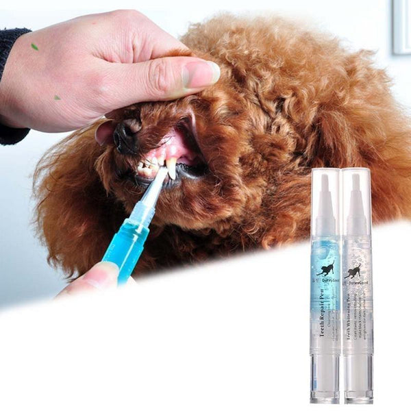 PET TEETH CLEANING REPAIR KIT