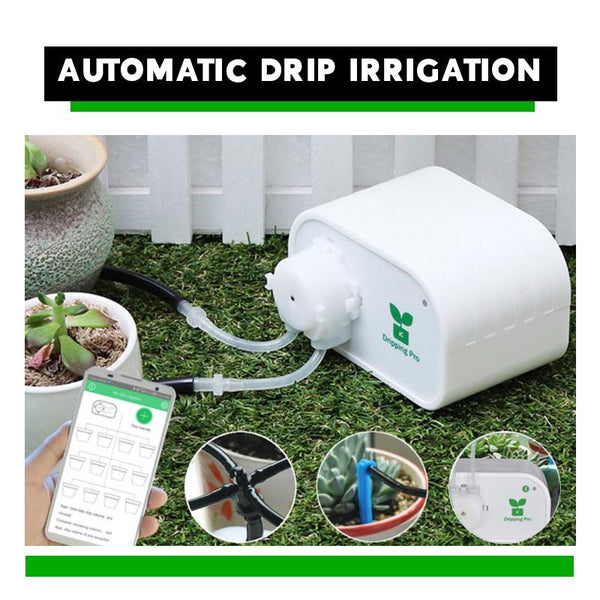 AUTOMATIC PLANT WATERING SYSTEM TOOL