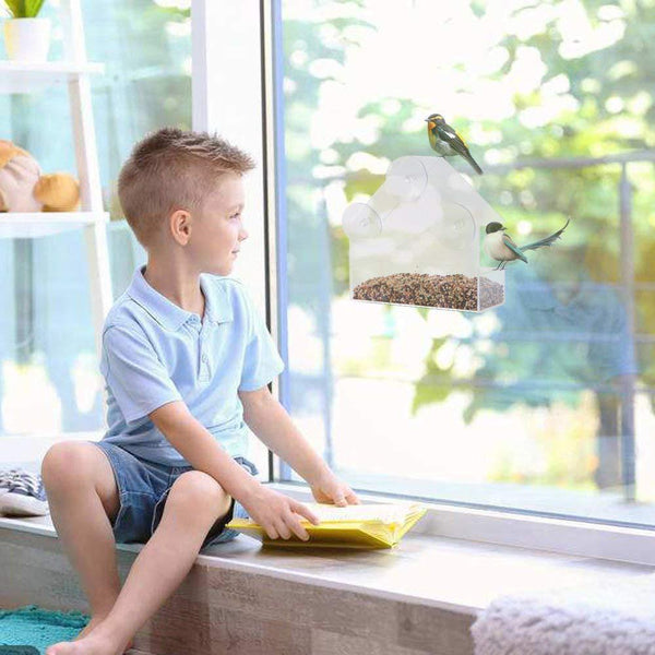 CLEAR GLASS VIEWING BIRD FEEDER