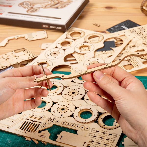 DIY 3D WOODEN SCALE MODEL ASSEMBLY KIT