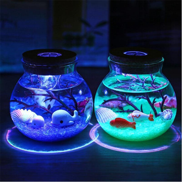 Saltwater Fish Stone Ocean Night Lights