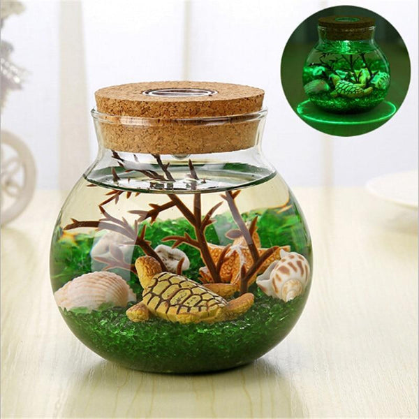 Saltwater Fish Stone Ocean Night Lights