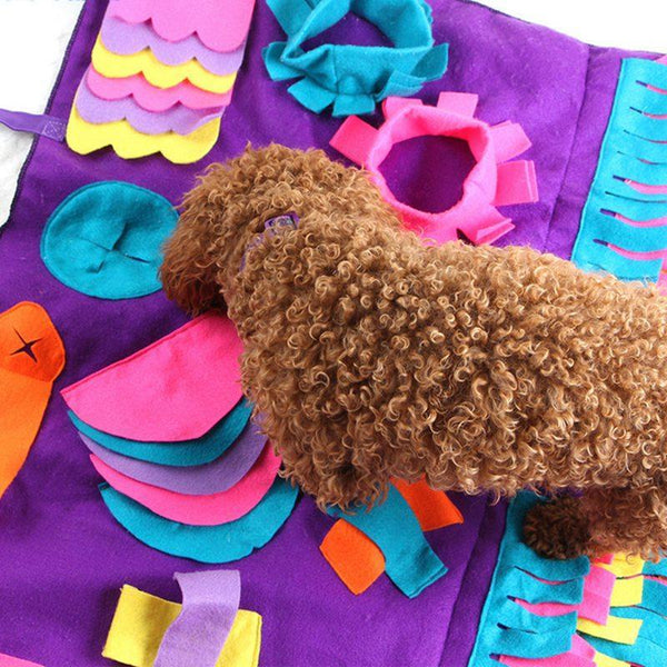 PET SNUFFLE TRAINING DETACHABLE MAT