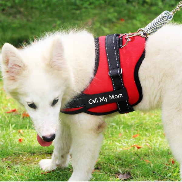 PERSONALIZED CUSTOM DOG HARNESS