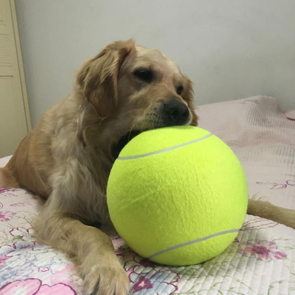 GIANT TENNIS BALL PET TOY