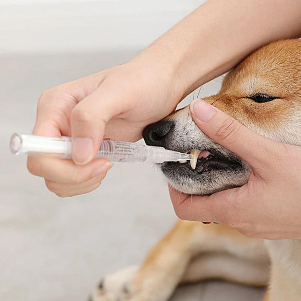 PET TEETH CLEANING REPAIR KIT
