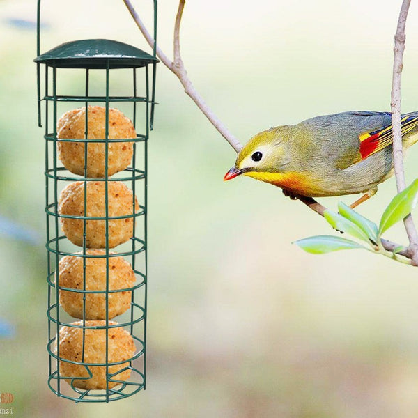 OUTDOOR BIRD FEEDER SQUIRREL PROOF