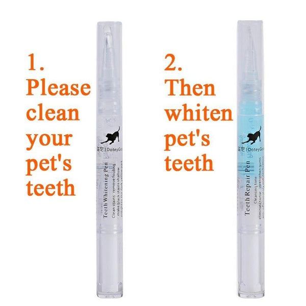 PET TEETH CLEANING REPAIR KIT