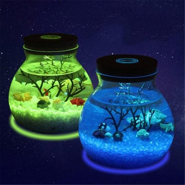 Saltwater Fish Stone Ocean Night Lights