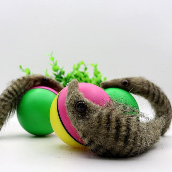 ELECTRIC BEAVER ROLLING WEASEL TOY