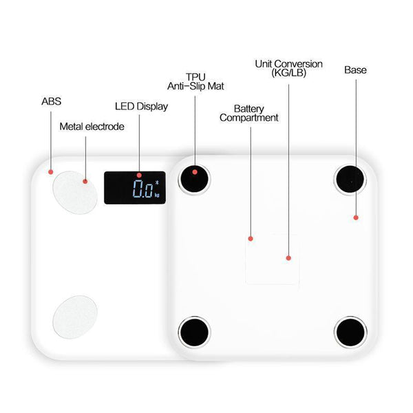Bluetooth Body Fat Scale w/ App