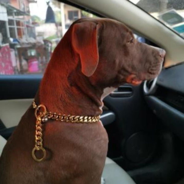 PET DOG CHAIN COLLAR