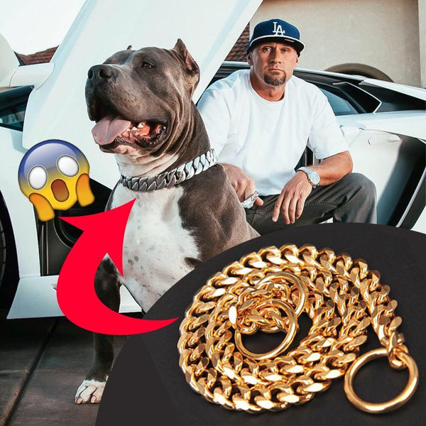 PET DOG CHAIN COLLAR