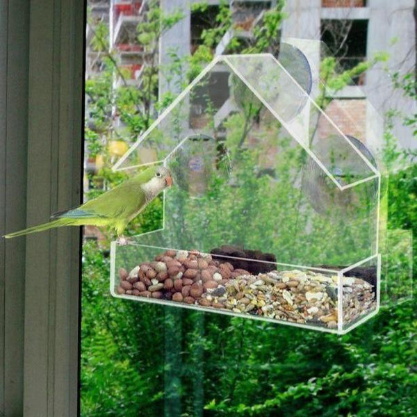 CLEAR GLASS VIEWING BIRD FEEDER
