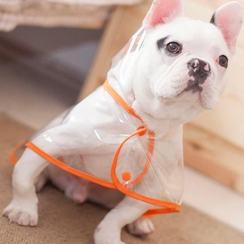 TRANSPARENT DOG RAINCOAT JACKET