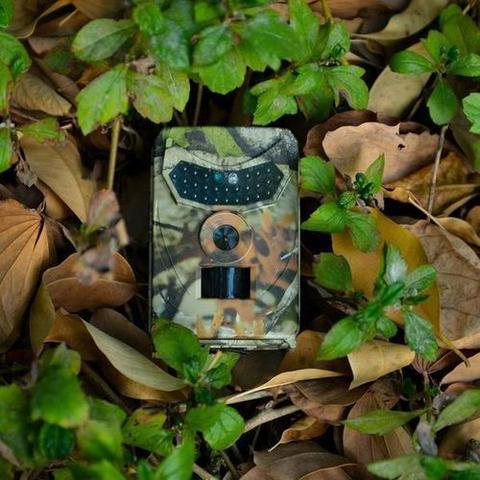 NO GLOW WIFI TRAIL CAMERA