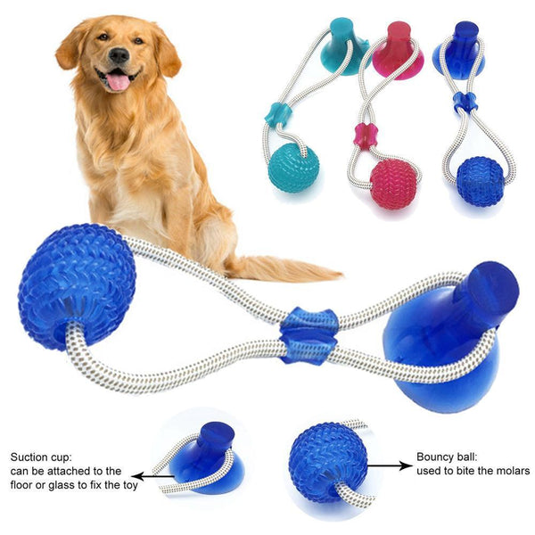 Pet IQ - Dog Suction Toy