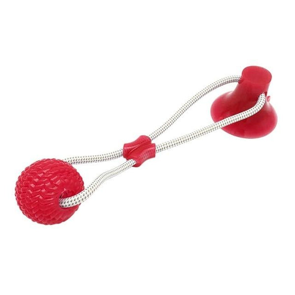 Pet IQ - Dog Suction Toy