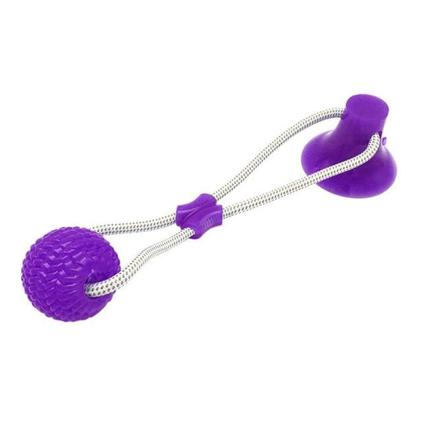 Pet IQ - Dog Suction Toy