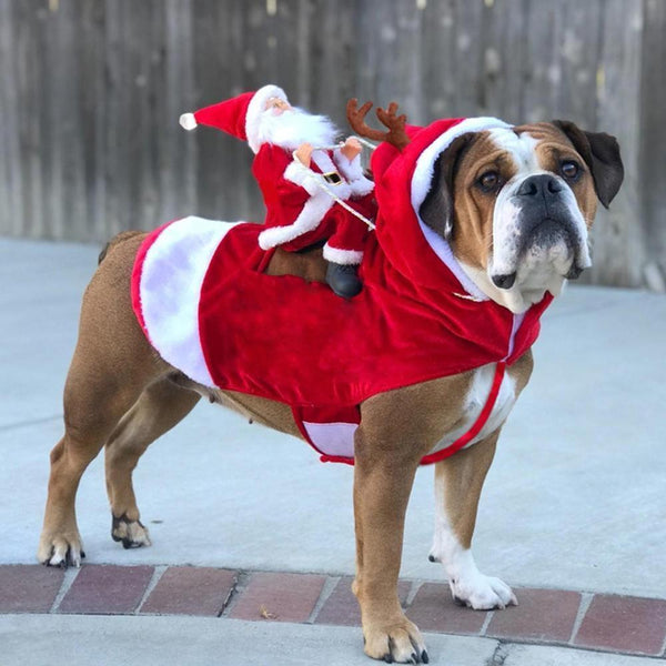 SantasHelper - Xmas Dog Costume