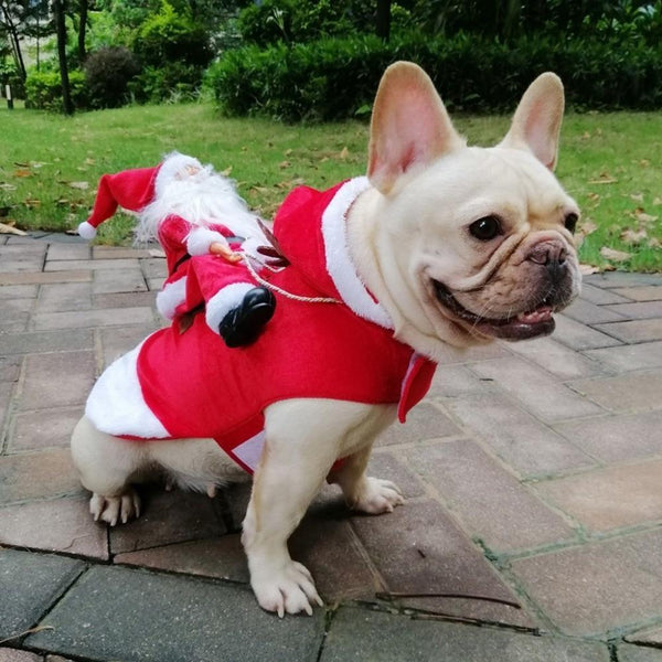 SantasHelper - Xmas Dog Costume