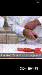 The BEST Professional Knife Sharpener