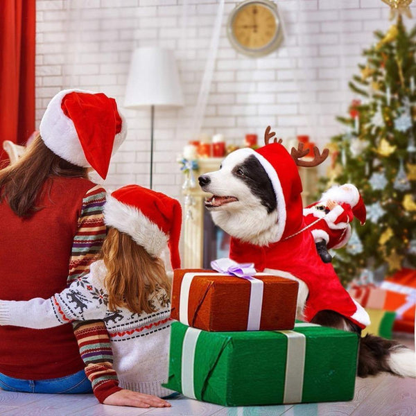 SantasHelper - Xmas Dog Costume