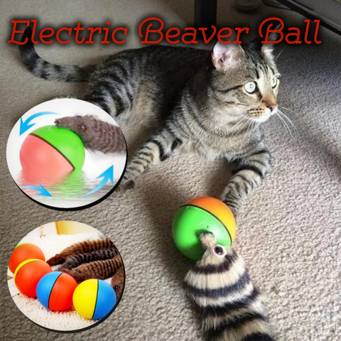ELECTRIC BEAVER ROLLING WEASEL TOY
