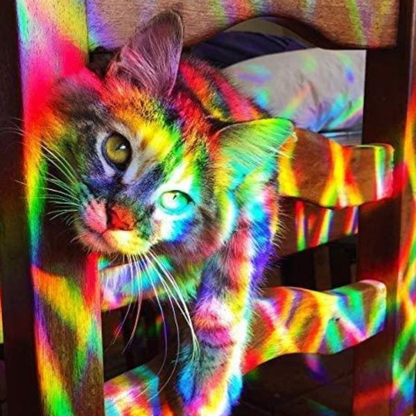 RAINBOW EFFECT WINDOW FILM TINT