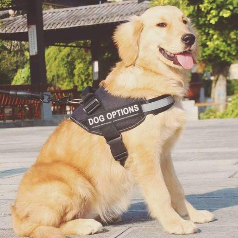 PERSONALIZED CUSTOM DOG HARNESS