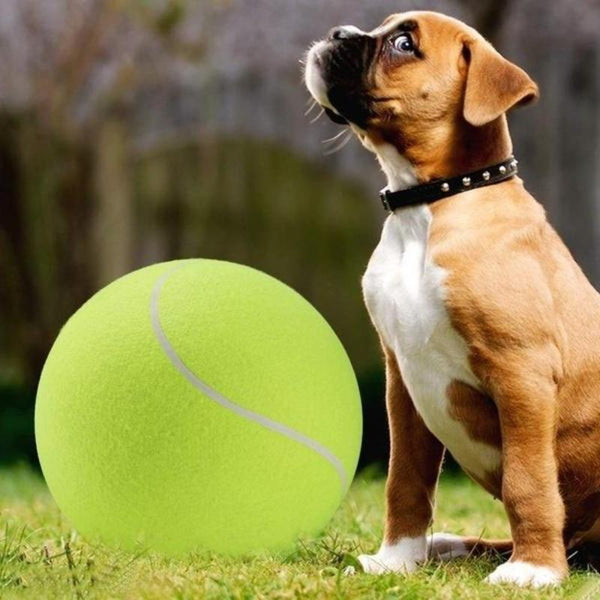 GIANT TENNIS BALL PET TOY