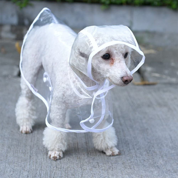 TRANSPARENT DOG RAINCOAT JACKET