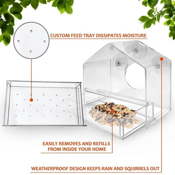 CLEAR GLASS VIEWING BIRD FEEDER