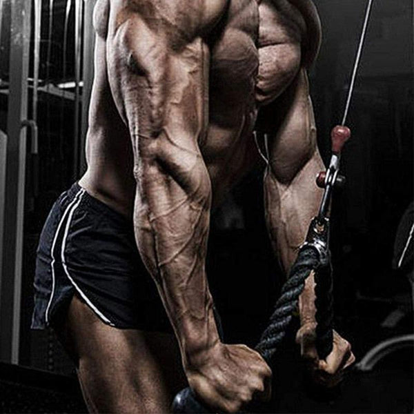 TRICEP ROPE WORKOUT EQUIPMENT