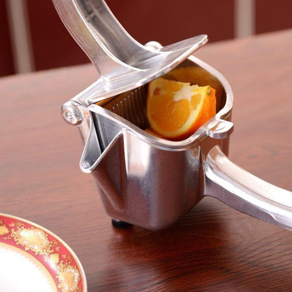 Stainless Steel Fruit Juicer