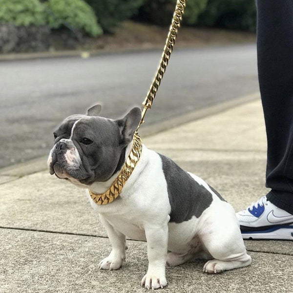 CUBAN CHAIN DOG COLLAR