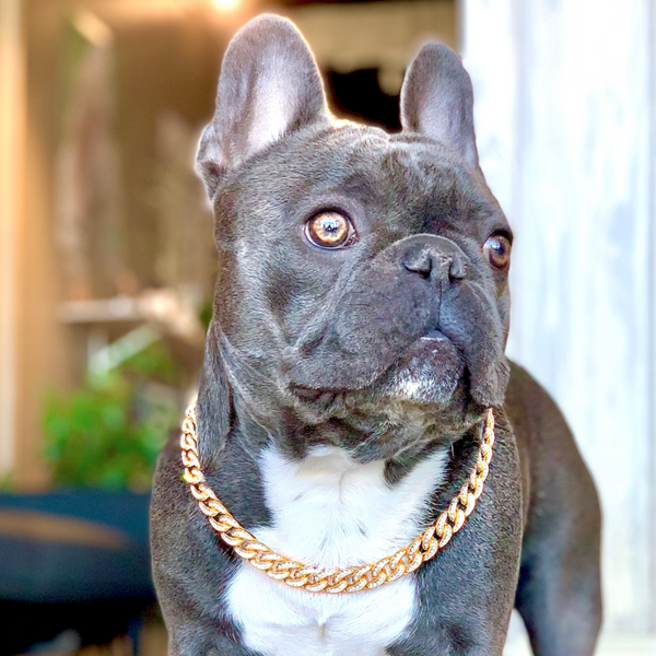 CUBAN CHAIN DOG COLLAR