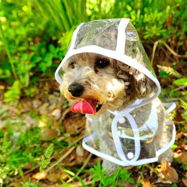 TRANSPARENT DOG RAINCOAT JACKET