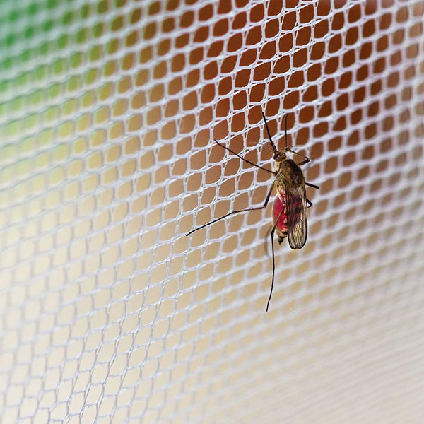 MOSQUITO NET BED CANOPY
