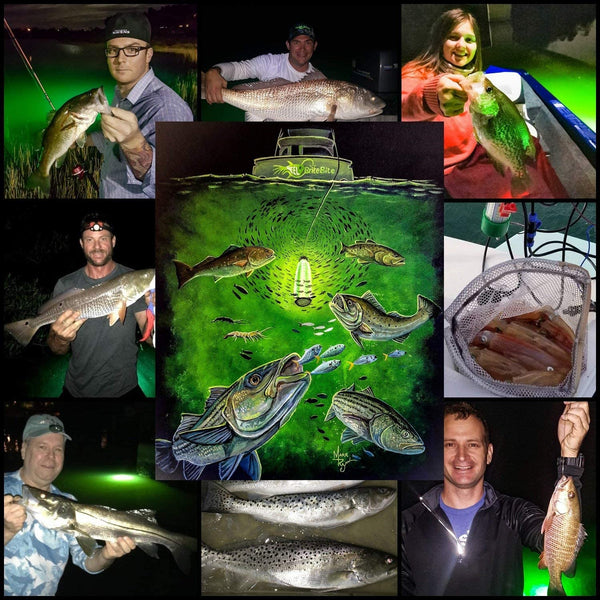 LED UNDERWATER FISHING LIGHT