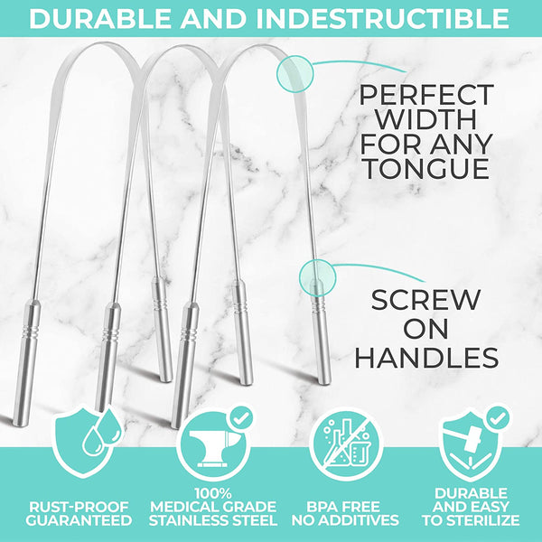 STAINLESS STEEL TONGUE SCRAPE CLEANER
